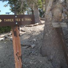 Three Tee's Trail, junction of summit trail to Telegraph Peak.