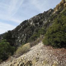 On the climb back to Telegraph Peak