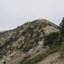 Looking over the "Devils Backbone" section of San Antonio trail, and East and South faces of Mount Harwood.