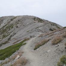 Nearing Harwood / San Antonio Col.