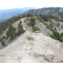 Descending Devil's Backbone on San Antonio Trail.