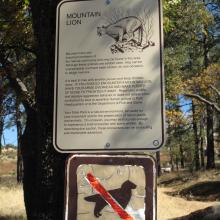 Despite the TH Warning, we saw 2X "Kitty Snacks" being walked up Stonewall Peak.