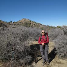 Typical hiking terrain, JTNP, in winter