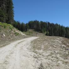 On the "Cat Track" segment of Mount Spokane climb