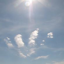 Friday the 13th "Spooky Skeleton Hand"