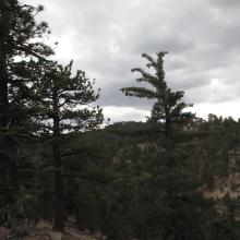 Weather moving in on Waterman.