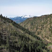 Ollala Canyon Road and snowy mountains come into view