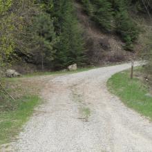 Beginning of Forest Service Road 112, from Ollala Canyon Road.  Parking 30 yards up, on left side.