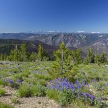En route to Graham Mountain, looking west. Glacier Peak is large snowy volcano in center distance.  Photo KG7EJT