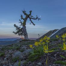 Sunset from Camp - Fantastic photo by Tim Nair