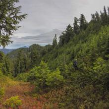 K7MAS beginning Great Tarzan Traverse.  Photo KG7EJT.