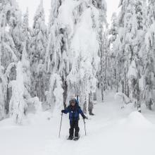 K7MAS heading down from Amabilis Mountain