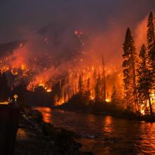 The Great Chiwaukum Mountains Fire, July 2014