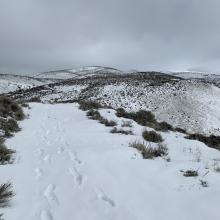 Easy travel about half way up, but still about 3 miles to go!