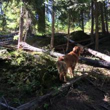 Relatively easy traveling in a couple sections