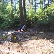 Clearing in activation zone