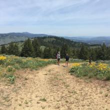 View off the backside to the North