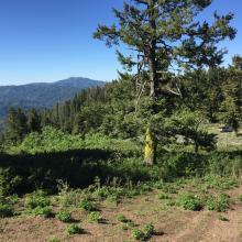 Looking back at car parking spot