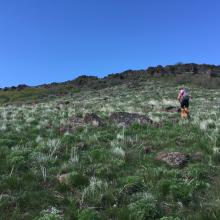 Final Summit approach