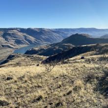 Looking southeast towards the Columbia River