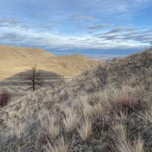 Looking northeast on the descent