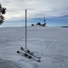 A pair of skis and a large pole sitting on the snow