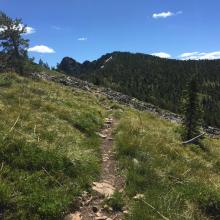 Scenic openings along State Line National Recreation Trail