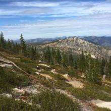 Open ascent after leaving trail