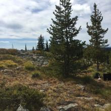 Operating position.  Trees and rock available for antenna supports. 