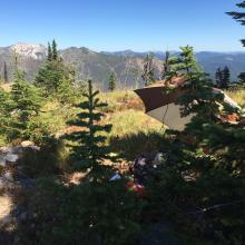 Salmo looking into Canada