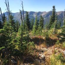 Salmo looking west into the Salmo-Priest Wilderness