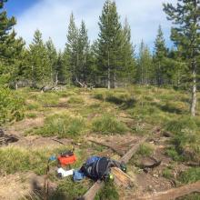 Tincup Hill summit operating position