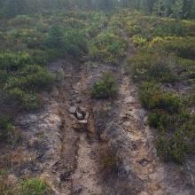 Steep eroded trail #44 at beginning