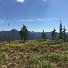 Summit operation on 7300