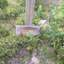 Easy to miss trail sign for #44