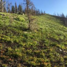 Vermilion open ridge alternate off trail route