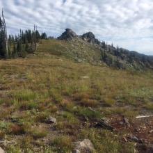Up the grassy slope to Williams Peak