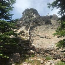 Williams Peak summit