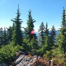 Rocky outcropping, backpack with radio gear, PVC mast w/ SOTA flag & small trees