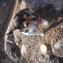 Charlie sitting by the BenchMark