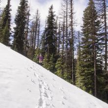 The saddle between Iron Bear and Jester Mountain-the only snow filled section of trail