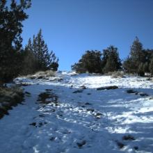 Jeep Trail to the top