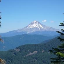 Mt. Hood