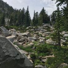 Boulder fields in Angell Basin