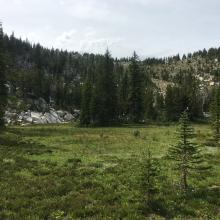Bog before final ascent to ridgeline