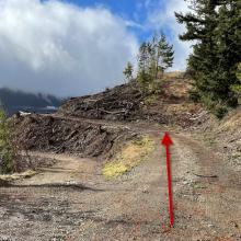 first fork. Go up and to the right