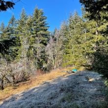 No View looking North