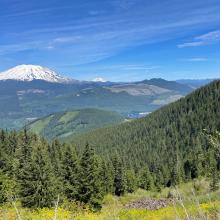 View half way up, from the rock traverse at base of Sugarloaf Rock Wall