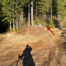 Red arrow for elusive trail