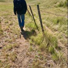 Heading South Along the Cattle Fence